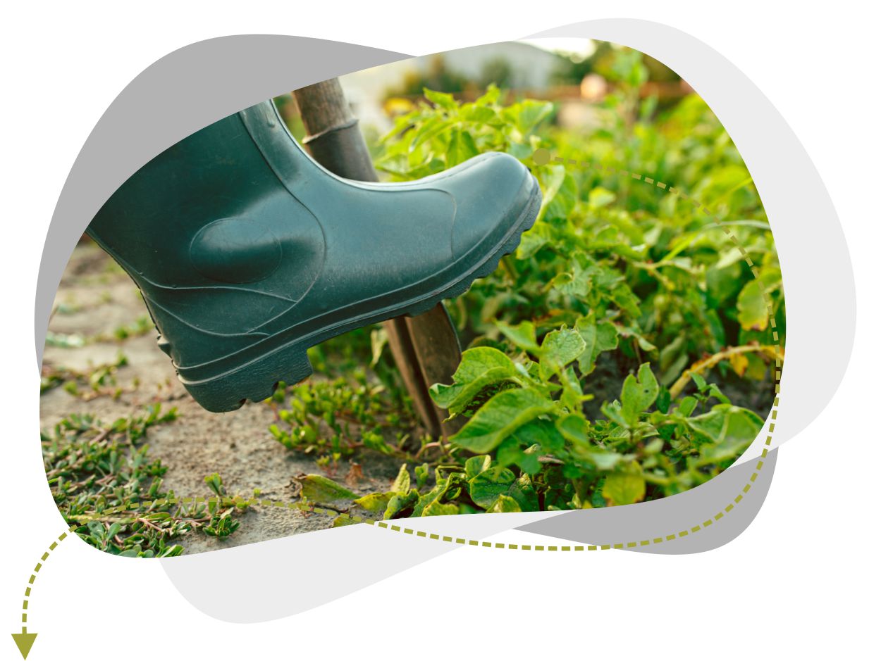 Chandler Agribusiness - image of farmworker plowing